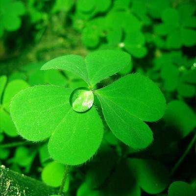 爱游戏·官方网站